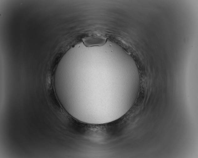 X0000088090709200705251429