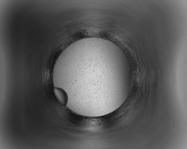 X0000088090711200705251429