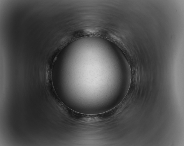 X0000088090712200705251429