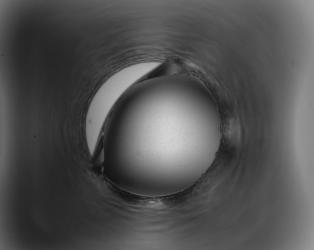 X0000088090715200705251429