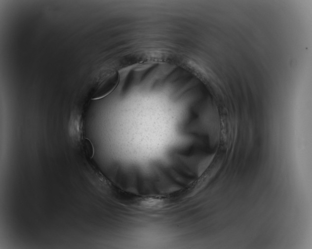 X0000088090718200705251429