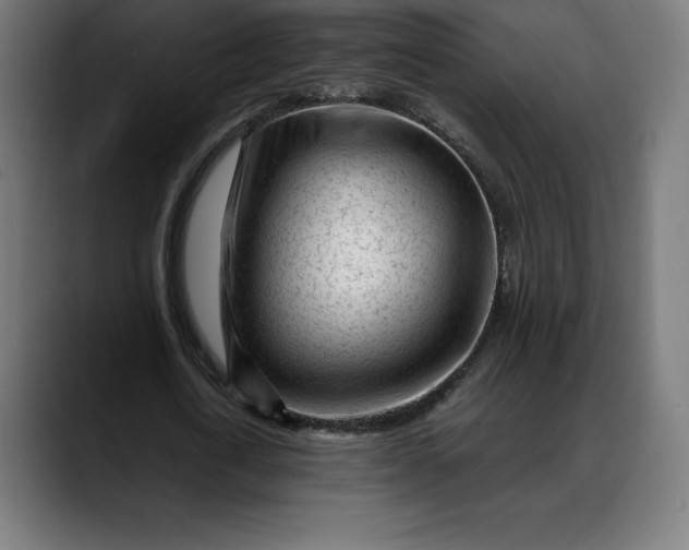 X0000088090722200705251428