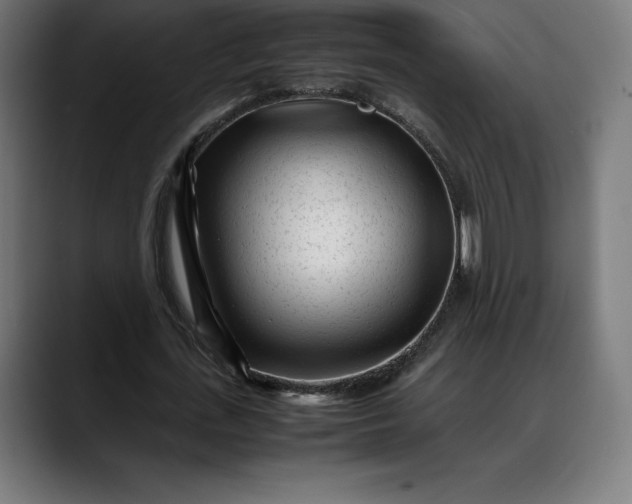 X0000088090723200705251428