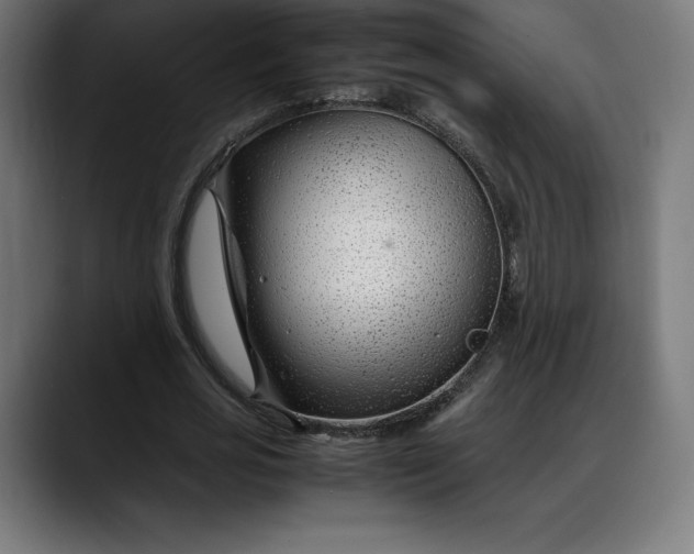 X0000088090725200705251428