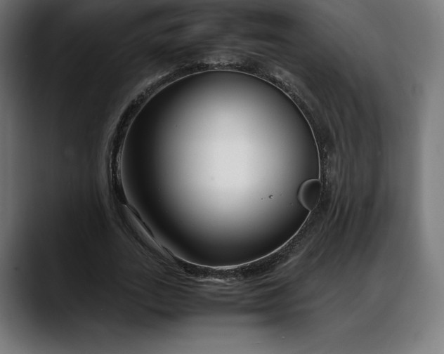 X0000088090727200705251428