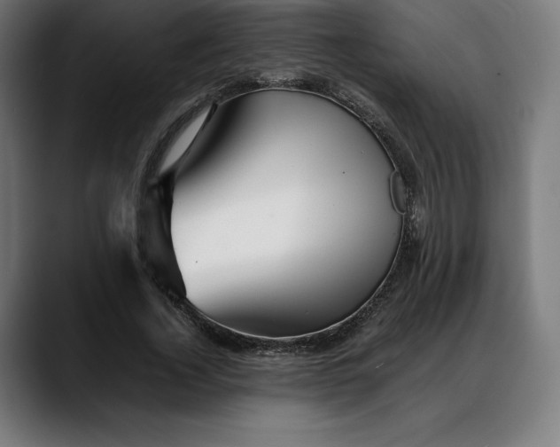 X0000088090732200705251428