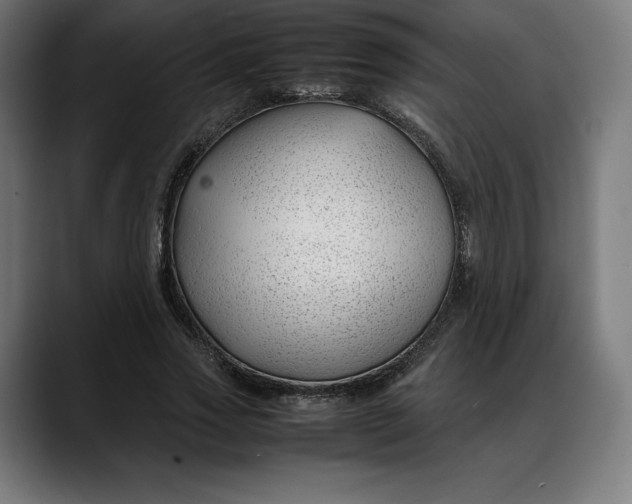 X0000088090733200705251428