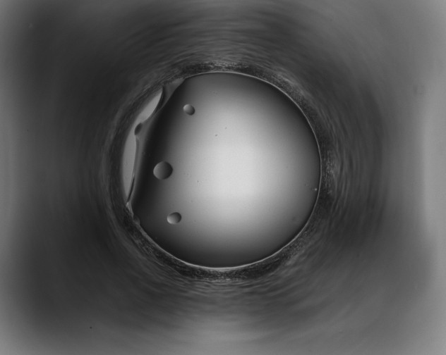 X0000088090734200705251428