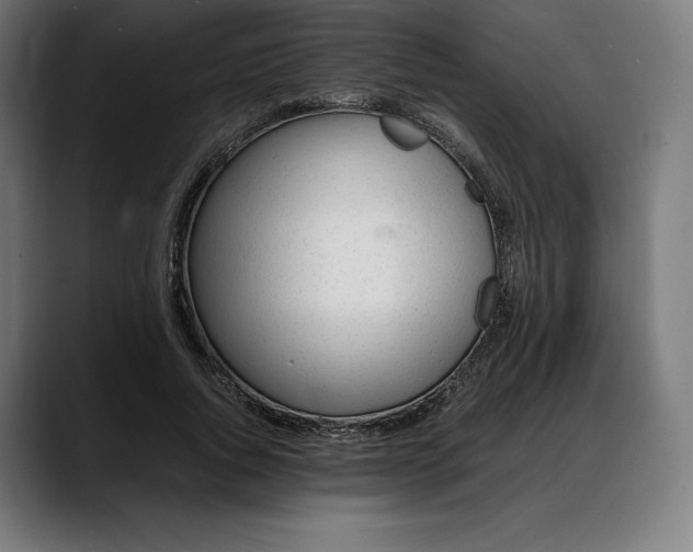 X0000088090736200705251428