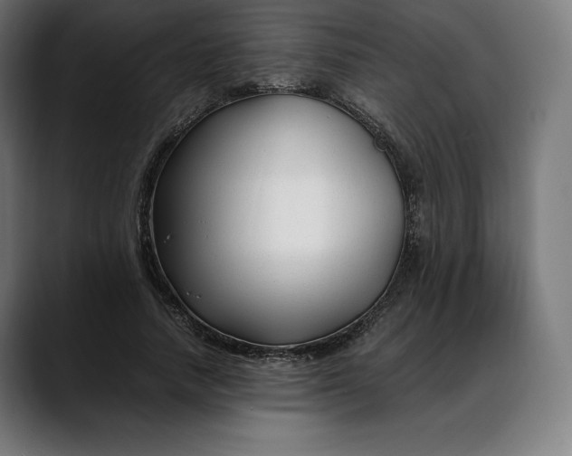 X0000088090738200705251428