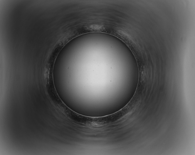 X0000088090739200705251428