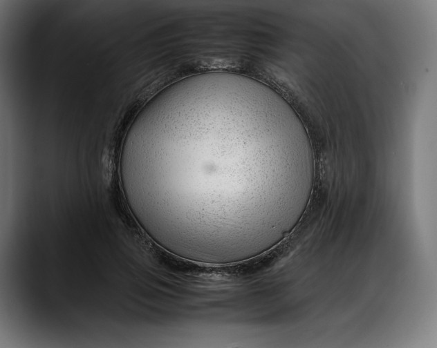 X0000088090741200705251428