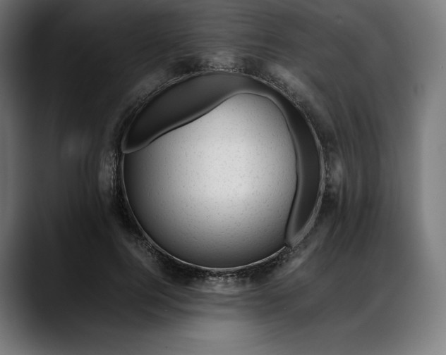 X0000088090744200705251428