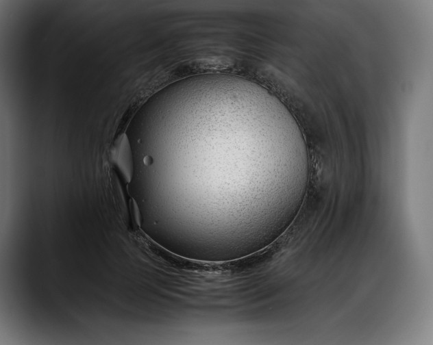 X0000088090745200705251428