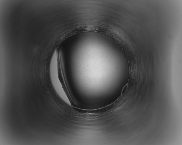 X0000088090748200705251428