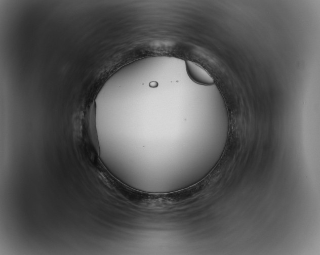 X0000088090752200705251428