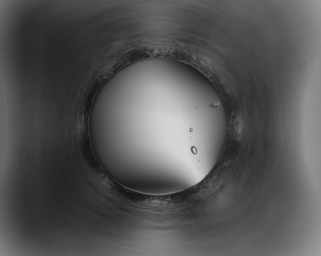 X0000088090756200705251428