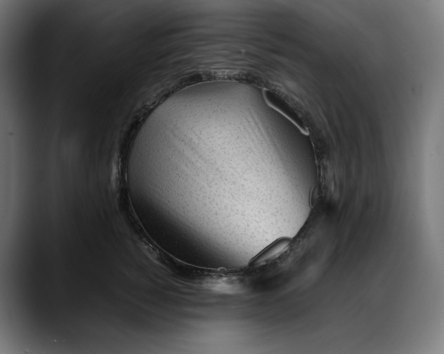 X0000088090760200705251429