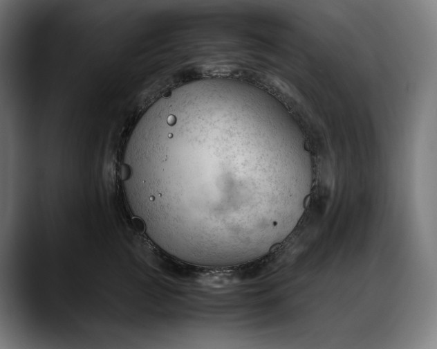 X0000088090761200705251429