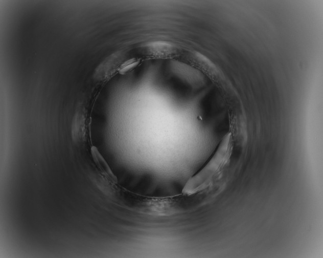 X0000088090762200705251429