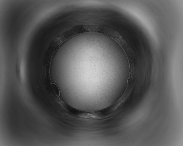 X0000088090765200705251429