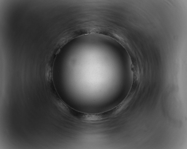 X0000088090766200705251429