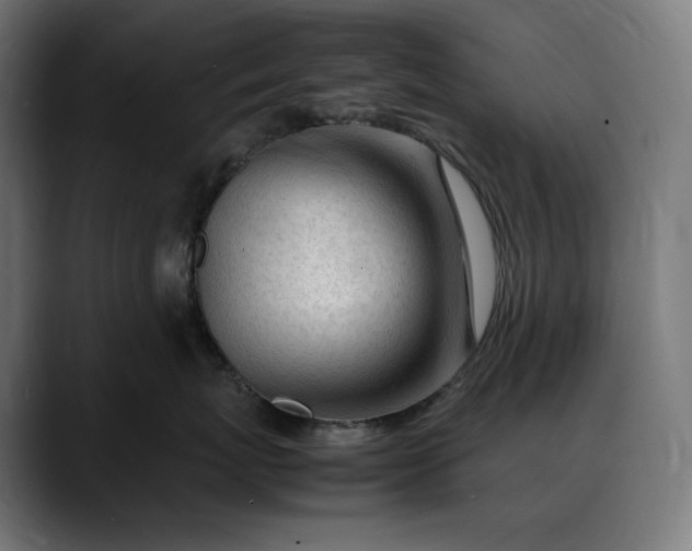 X0000088090767200705251429