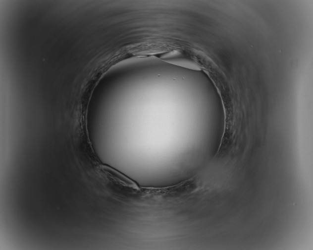 X0000088090773200705251428