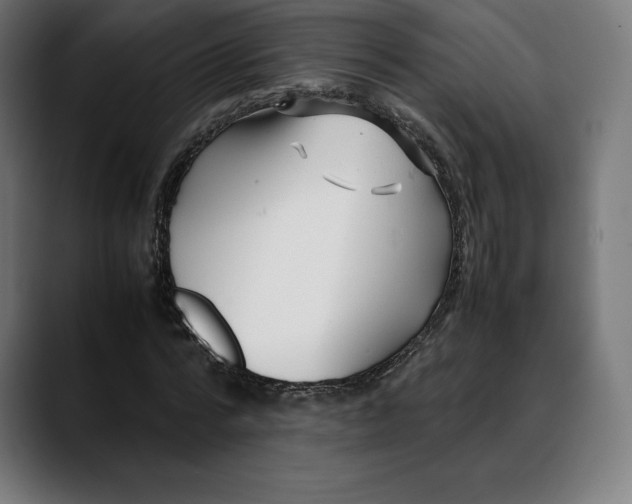 X0000088090776200705251428