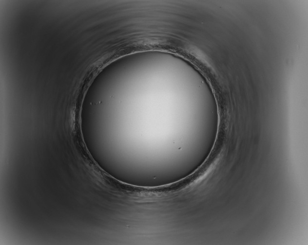 X0000088090777200705251428