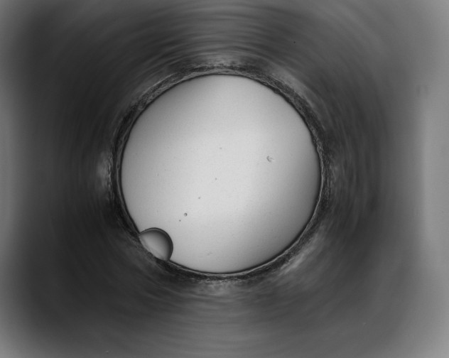 X0000088090778200705251428