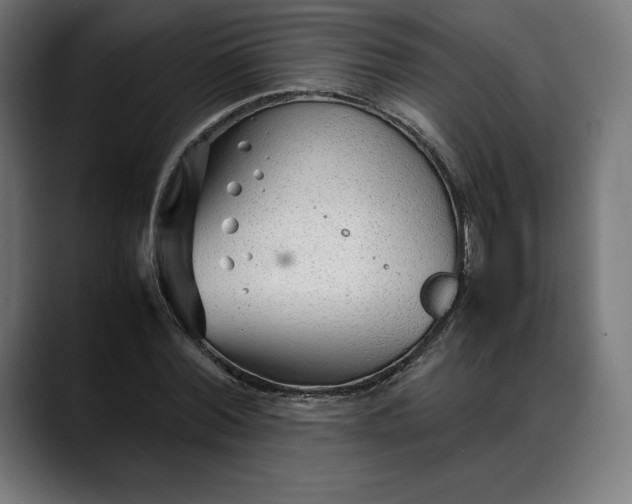 X0000088090780200705251428