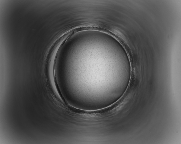 X0000088090781200705251428