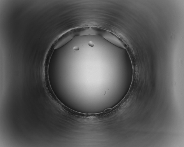 X0000088090784200705251428