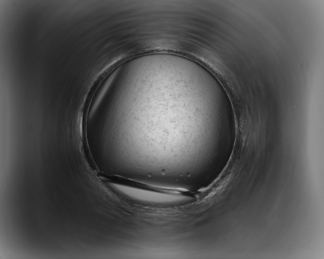 X0000088090790200705251428