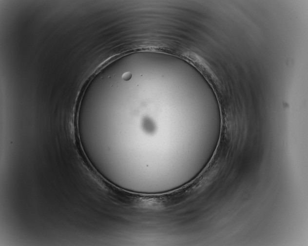 X0000088090794200705251428