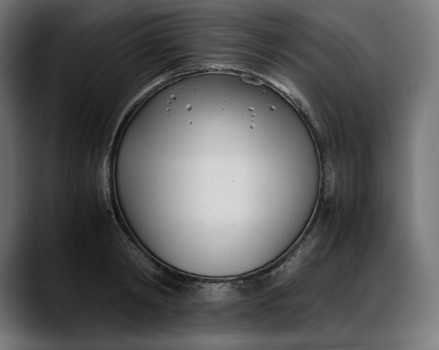 X0000088090798200705251428