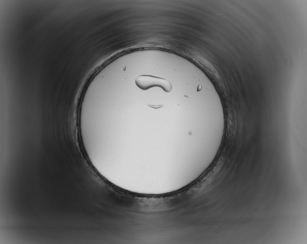 X0000088090800200705251428