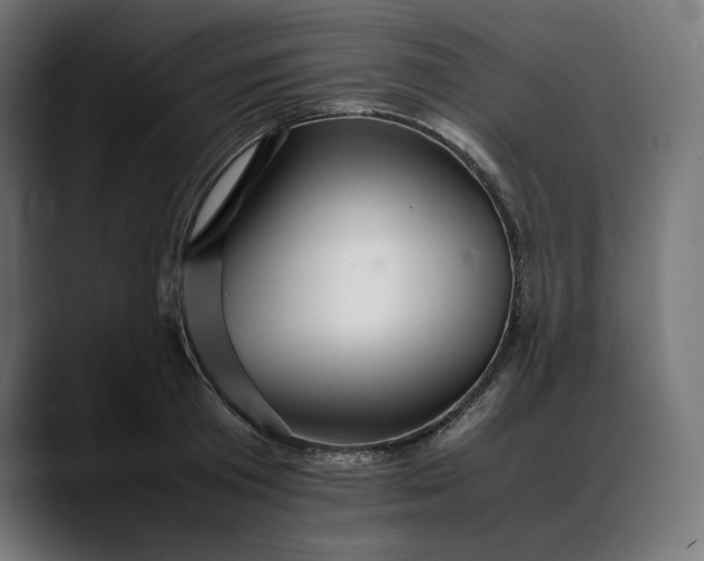 X0000088090801200705251428