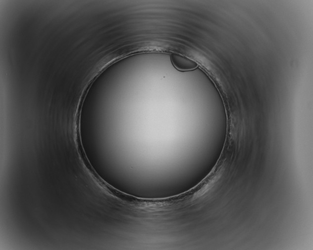 X0000088090802200705251428