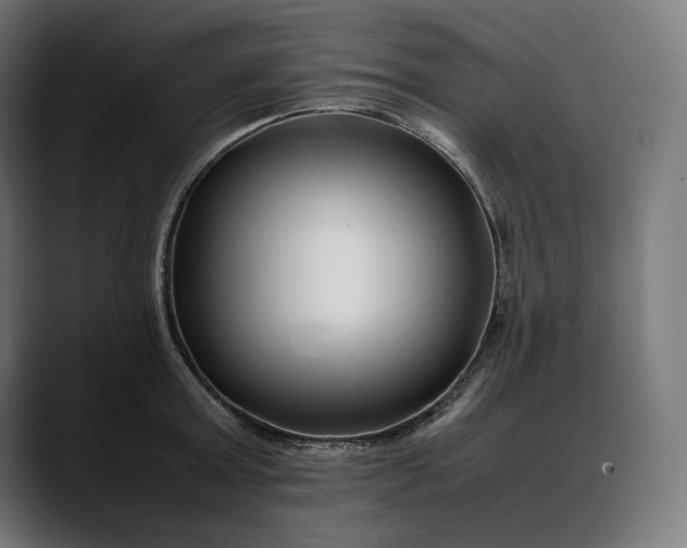 X0000088090803200705251428