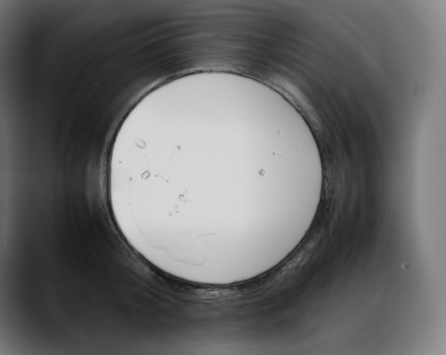 X0000088090804200705251428