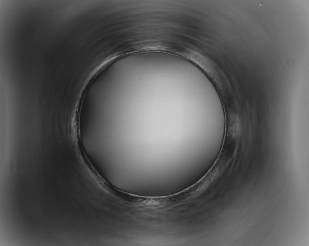 X0000088090806200705251428