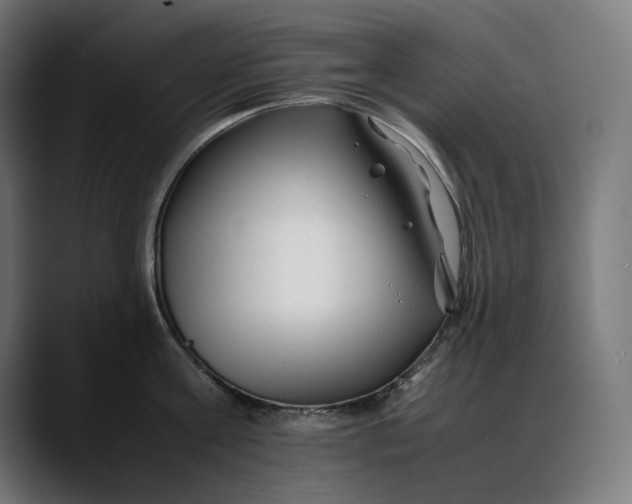 X0000088090811200705251427