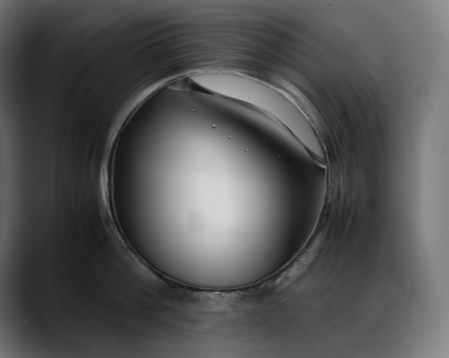 X0000088090812200705251427