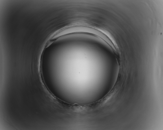 X0000088090815200705251427