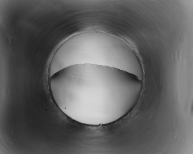 X0000088090816200705251427