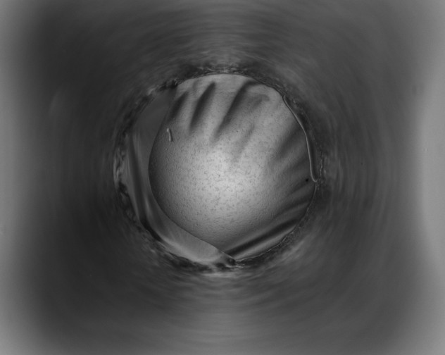 X0000088090818200705251427