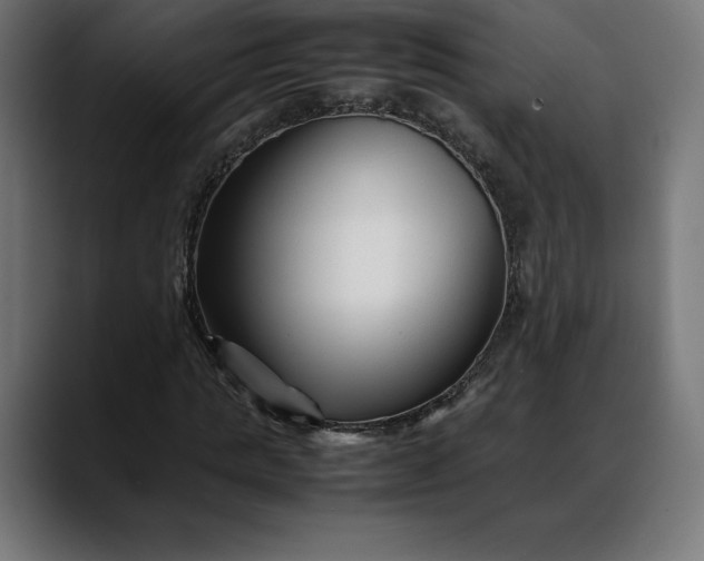 X0000088090821200705251427