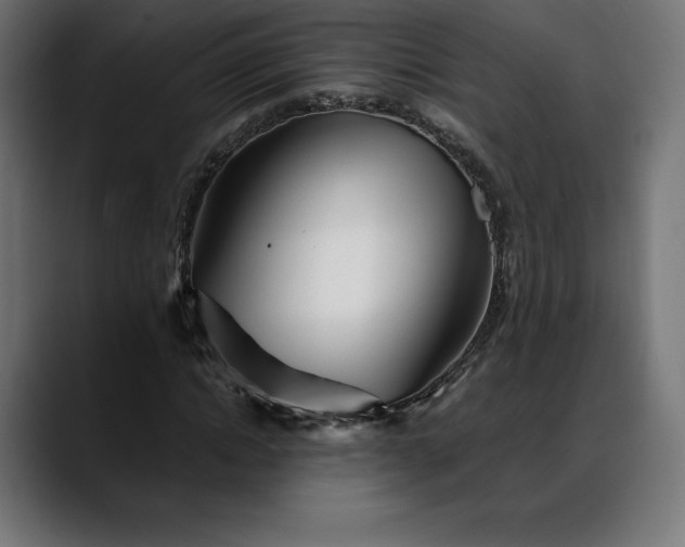 X0000088090822200705251427